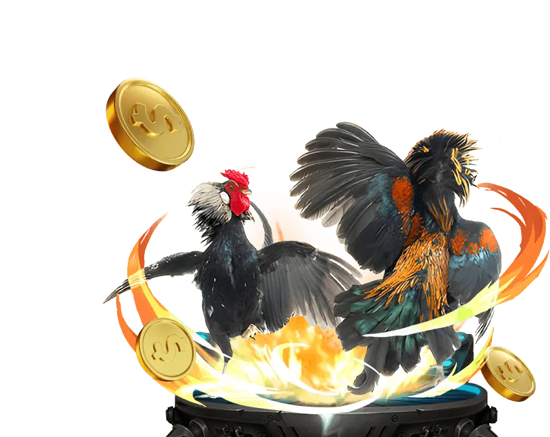 Quy tắc cá cược thể thao mwc77